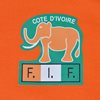 Ivory Coast Retro Football Shirt 1980's